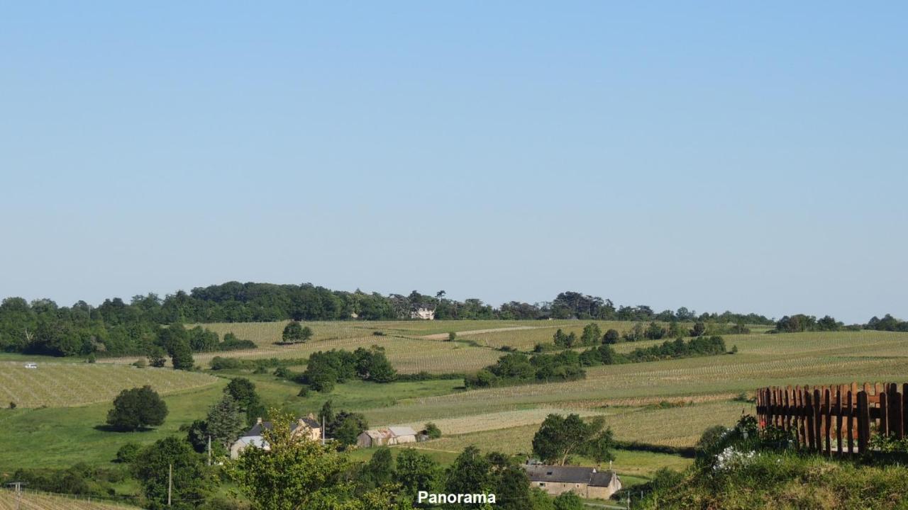 Gite Hyrom 5 Places Moulin De La Placette Faye-d'Anjou Esterno foto